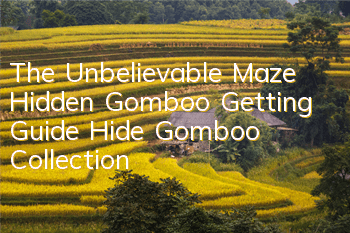 The Unbelievable Maze Hidden Gomboo Getting Guide Hide Gomboo Collection