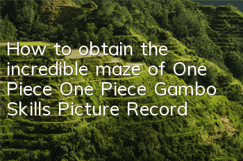 How to obtain the incredible maze of One Piece? One Piece Gambo Skills Picture Record
