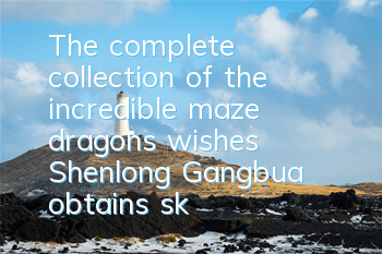 The complete collection of the incredible maze dragon's wishes Shenlong Gangbua obtains skills illustration