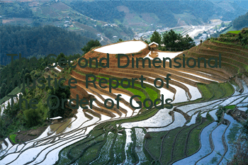 The Second Dimensional Injustice Report of 