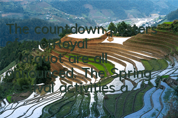 The countdown posters of 
