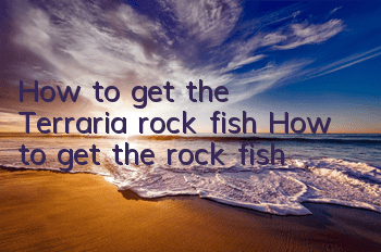 How to get the Terraria rock fish How to get the rock fish