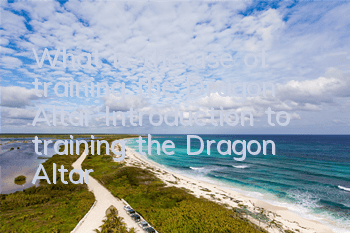 What is the use of training the Dragon Altar? Introduction to training the Dragon Altar