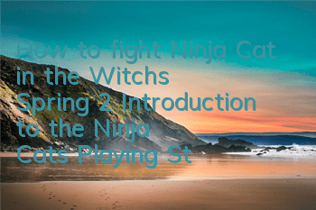 How to fight Ninja Cat in the Witch's Spring 2? Introduction to the Ninja Cat's Playing Strategy