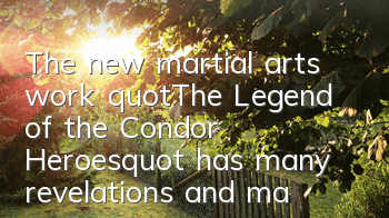The new martial arts work 