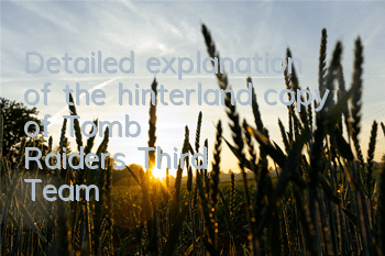 Detailed explanation of the hinterland copy of 