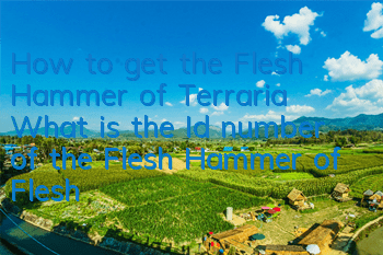 How to get the Flesh Hammer of Terraria What is the Id number of the Flesh Hammer of Flesh Hammer
