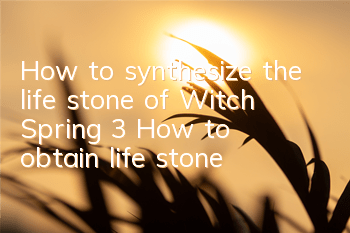 How to synthesize the life stone of Witch Spring 3? How to obtain life stone