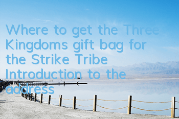 Where to get the Three Kingdoms gift bag for the Strike Tribe? Introduction to the address for the Three Kingdoms gift bag for the Strike Tribe Tribe