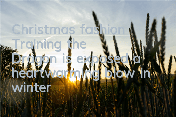 Christmas fashion 