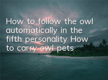 How to follow the owl automatically in the fifth personality? How to carry owl pets