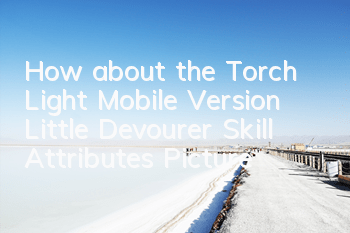 How about the Torch Light Mobile Version Little Devourer? Skill Attributes Picture