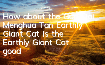 How about the God-Dai Menghua Tan Earthly Giant Cat? Is the Earthly Giant Cat good?