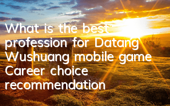 What is the best profession for Datang Wushuang mobile game? Career choice recommendation