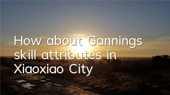 How about Ganning’s skill attributes in Xiaoxiao City?