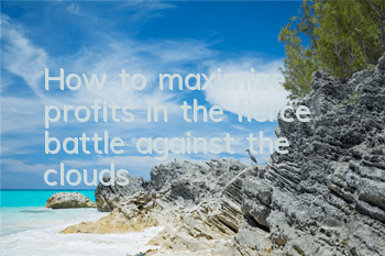 How to maximize profits in the fierce battle against the clouds