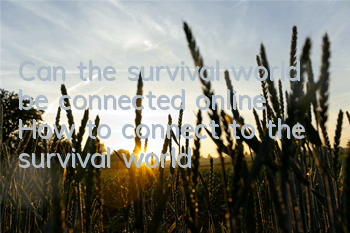 Can the survival world be connected online? How to connect to the survival world