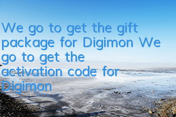 We go to get the gift package for Digimon We go to get the activation code for Digimon