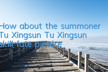 How about the summoner Tu Xingsun? Tu Xingsun skill fate picture