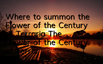 Where to summon the Flower of the Century of Terraria? The Flower of the Century of Terraria cannot be found