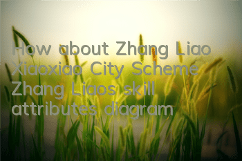 How about Zhang Liao, Xiaoxiao City Scheme? Zhang Liao’s skill attributes diagram