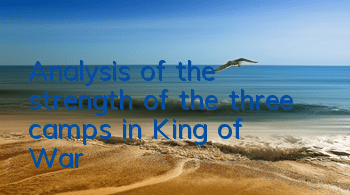 Analysis of the strength of the three camps in 