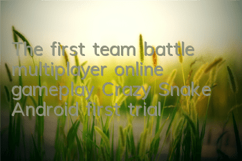 The first team battle multiplayer online gameplay, Crazy Snake Android first trial